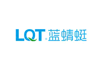 湖南藍(lán)蜻蜓網(wǎng)絡(luò)科技公司標(biāo)志